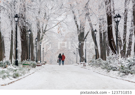 Winter park covered with snow and hoarfrost 123731853