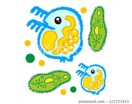 Doodle style illustration of Euglena and Daphnia Doodle style illustration of Euglena and Daphnia 123731913
