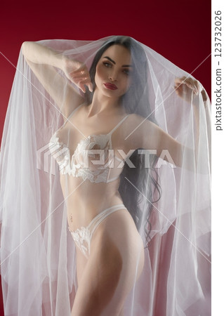 Stunning bridal lingerie portrait of a beautiful woman in delicate veil 123732026