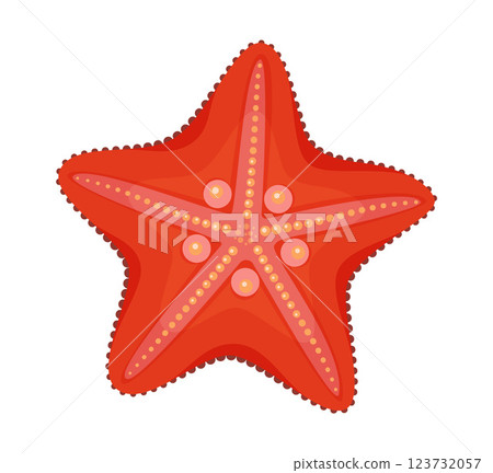 Red Starfish icon. Sea animal Hand drawn trendy flat style Starfish isolated icon 123732057