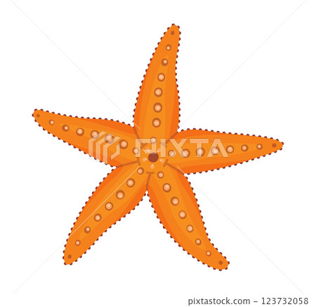 Yellow Starfish icon. Sea animal Hand drawn trendy flat style Starfish isolated icon 123732058