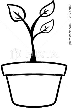 plant in pot plant in pot 123732065
