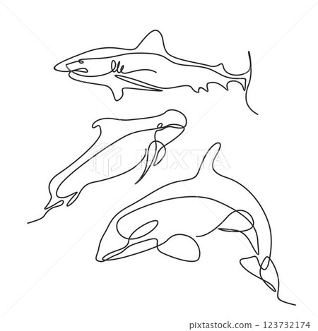 Continuous single line logo of shark, orca, whale Continuous single line logo of shark, orca, whale 123732174