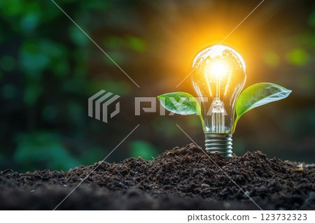 A light bulb is planted in the dirt, Concept of growth and the importance of light in the process 123732323