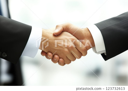 Successful Real Estate Dealer Engaging in Handshake to Close Business Deal Successful Real Estate Dealer Engaging in Handshake to Close Business Deal 123732613