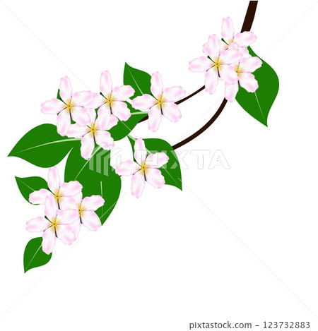 Flower branch. 123732883