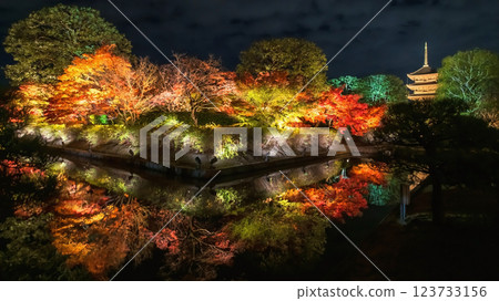 Toji pagoda and colorful fall maple leaves light up with reflection, Kyoto Toji pagoda and colorful fall maple leaves light up with reflection, Kyoto 123733156
