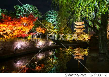 Toji pagoda and colorful fall maple leaf light up with reflection, Kyoto Toji pagoda and colorful fall maple leaf light up with reflection, Kyoto 123733157
