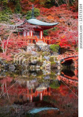 Daigoji Pavilion pagoda with fall foliage color in vertical view, Kyoto 123733164