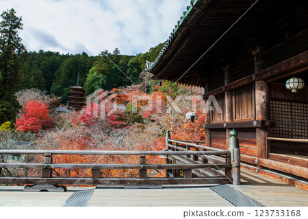 Wooden balcony to view Hasedera temple pagoda at autumn, Nara 123733168