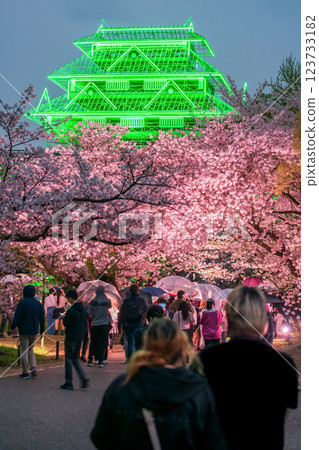 people at sakura tree light up and Fukuoka Castle ruins, Maizuru park people at sakura tree light up and Fukuoka Castle ruins, Maizuru park 123733182