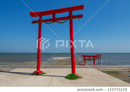 Many red torii gates by Ariake sea and blue sky at Oouo Shrine, Tara 123733229