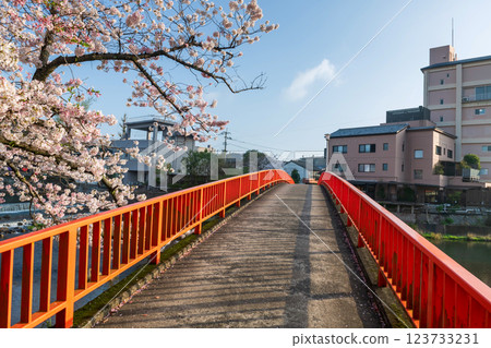 Red bridge by Ureshino onsen park across river with pink cherry blossom Red bridge by Ureshino onsen park across river with pink cherry blossom 123733231