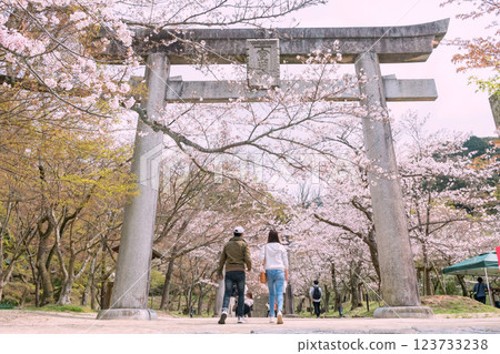 Couple at torii gate and pink sakura, Homangu Kamado shrine, Fukuoka 123733238