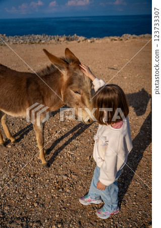 A little girl gently pets a donkey in the National Donkey Park on the northeasternmost cape of Northern Cyprus. Heartwarming connection between children and wildlife in a remote natural setting A little girl gently pets a donkey in the National Donkey Park on the northeasternmost cape of Northern Cyprus. Heartwarming connection between children and wildlife in a remote natural setting 123733307