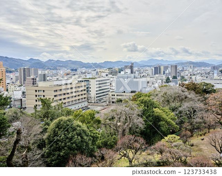 Kochi City: Kochi City as seen from Kochi Castle Kochi City: Kochi City as seen from Kochi Castle 123733438