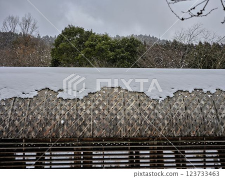 德島縣祖谷市的雪花 德島縣祖谷市的雪花 123733463