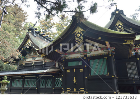 雨中的香取神社:正殿側面(千葉縣香取市) 雨中的香取神社:正殿側面(千葉縣香取市) 123733638