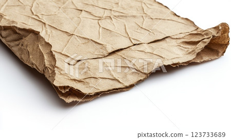 Crumpled Brown Paper on White Background Crumpled Brown Paper on White Background 123733689