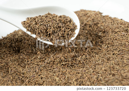 Whole cumin seeds Carum carvi L. in a spoon close-up 123733720