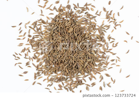 Dried Cumin Seeds Close-Up Culinary Ingredient on White Top View 123733724