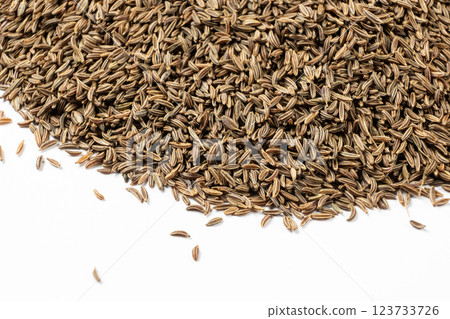 Dried Cumin Seeds Close-Up Culinary Ingredient on White Top View 123733726