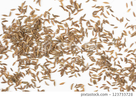 Dried Cumin Seeds Close-Up Culinary Ingredient on White Top View 123733728