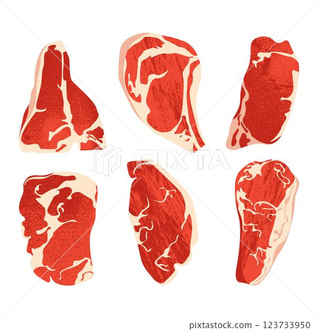Raw beef steak elements. Flat cartoon uncooked meat products, angus sirloin t-bone ribeye steaks, butchering muscle fillet protein. Vector isolated set Raw beef steak elements. Flat cartoon uncooked meat products, angus sirloin t-bone ribeye steaks, butchering muscle fillet protein. Vector isolated set 123733950