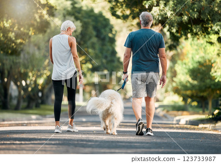 Senior couple, dog walk and nature park road during exercise, walking and leisure during a stroll through the woods. Old man and woman being active for energy and living healthy with a pet outside 123733987