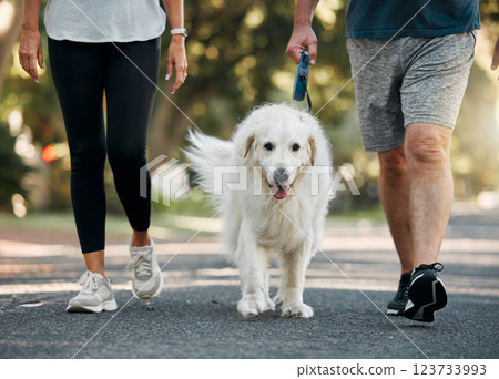 Couple walking the dog in a park for exercise, fitness and workout. Senior man and woman together taking pet for walk outdoors on leash. Leisure activity for wellness, active and healthy lifestyle 123733993