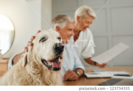 Senior, elderly couple and dog pet of people in a home looking at contracts and documents. Happiness of a man, woman and animal in retirement looking at life insurance policy paperwork or document 123734335