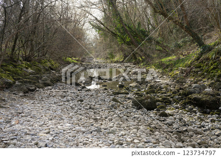 small dry stream in winter small dry stream in winter 123734797