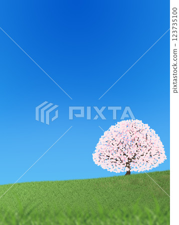 Blue sky and one cherry tree Blue sky and one cherry tree 123735100