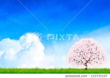 Blue sky and one cherry tree 123735107