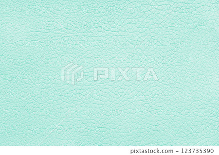 Texture of genuine leather or artificial synthetic leatherette pastel turquoise color background Texture of genuine leather or artificial synthetic leatherette pastel turquoise color background 123735390