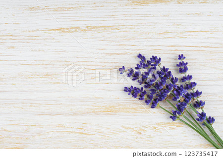 Bouquet of blooming lavender flowers on white wooden background with copy space, top view Bouquet of blooming lavender flowers on white wooden background with copy space, top view 123735417
