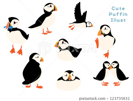 Bird Week Puffin Atlantic puffin Wild bird Bird 123735631