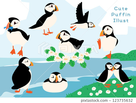 國際鳥週 海鸚 大西洋海鸚 野生鳥類 鳥類 123735632