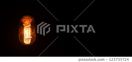 Retro looking light bulb glowing on dark background, bright wire visible in glass, space for text right side Retro looking light bulb glowing on dark background, bright wire visible in glass, space for text right side 123735724