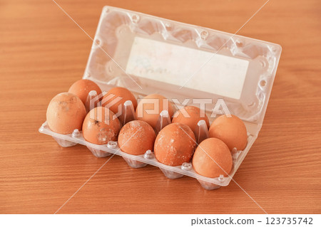 Pack of mouldy eggs in plastic box, mildew developed after storing improperly in wet fridge for long time 123735742
