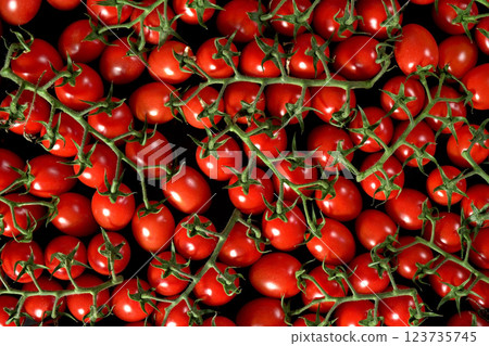 Heap of small cherry red tomatoes with green vines, tabletop view 123735745
