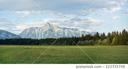 Green meadow with small forest and mount Krivan peak (Slovak symbol) in distance on summer afternoon 123735748