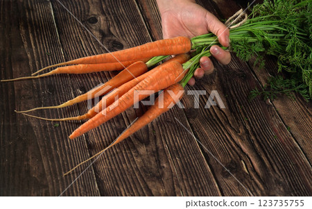 Hand holding bunch of red carrots with green leaves over dark wooden board 123735755