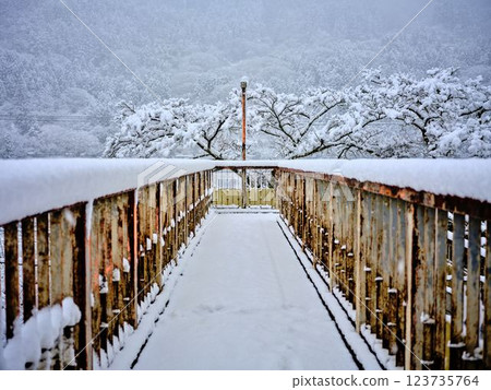 Snow-covered Toyonaga Station, Kochi, pedestrian bridge 123735764