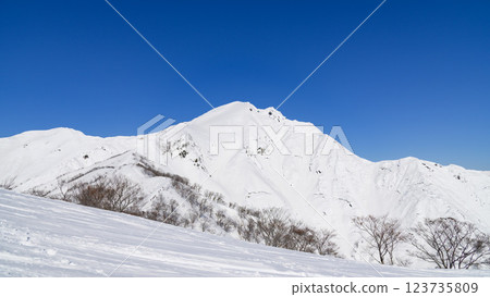 （雪山登山、冬日風景）從天神山脊遠眺谷川岳的壯麗景色 123735809