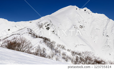 (Snowy mountain climbing/winter scenery) A spectacular view of Mt. Tanigawa from Tenjin Ridge 123735814