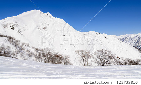 (Snowy mountain climbing/winter scenery) A spectacular view of Mt. Tanigawa from Tenjin Ridge 123735816