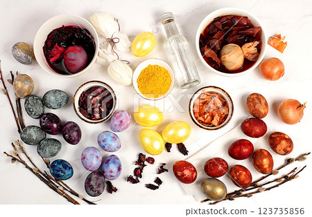 Recipe for dyeing Easter eggs with natural hibiscus tea, onion peel and curcumin, with a willow branch on a concrete background. Easter celebration concept, holiday card 123735856