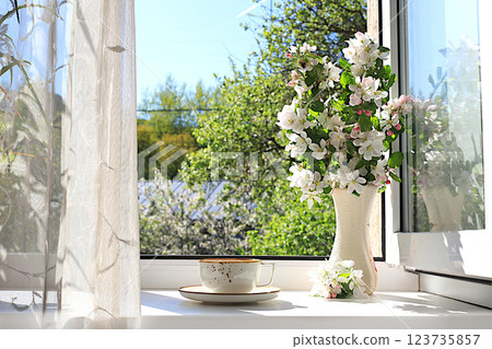 Still life with blooming apple flowers in a vase and a cup of tea on a sunny window, abstract floral arrangement, Home interior with decorative elements, floral birthday card, wedding Still life with blooming apple flowers in a vase and a cup of tea on a sunny window, abstract floral arrangement, Home interior with decorative elements, floral birthday card, wedding 123735857