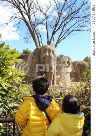 兄弟倆在動物園玩耍 兄弟倆在動物園玩耍 123735862